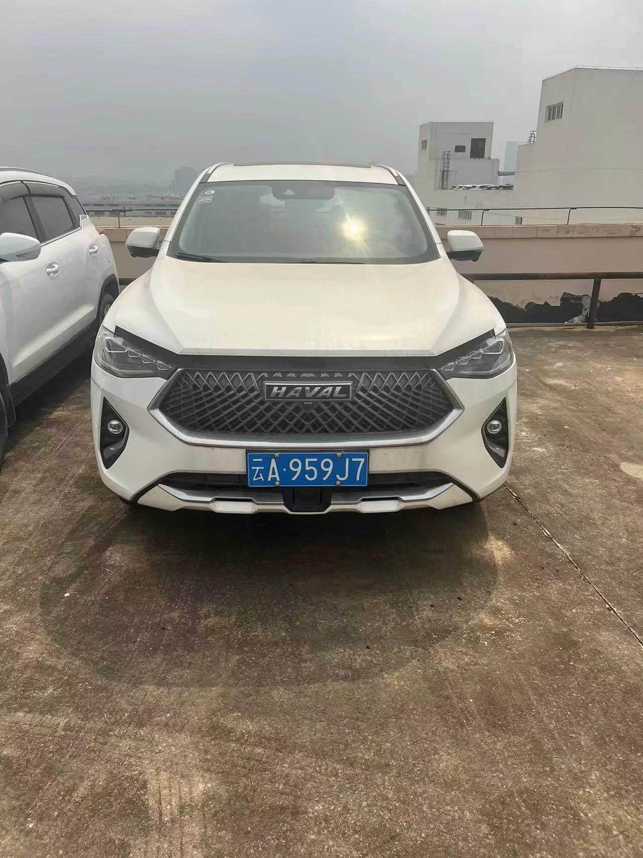 Cheap Used HAVAL F7 2021 2.0T white Automatic Gasoline SUV Voiture occasion pas cher Second Hand Used Cars For Sale From China