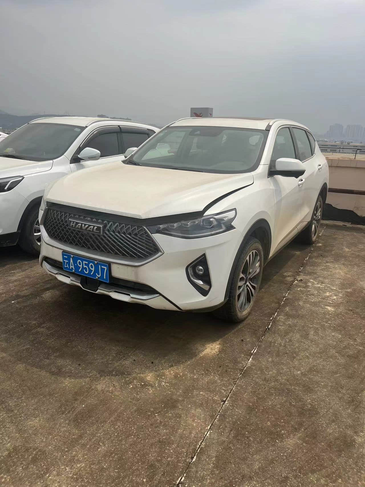 Cheap Used HAVAL F7 2021 2.0T white Automatic Gasoline SUV Voiture occasion pas cher Second Hand Used Cars For Sale From China