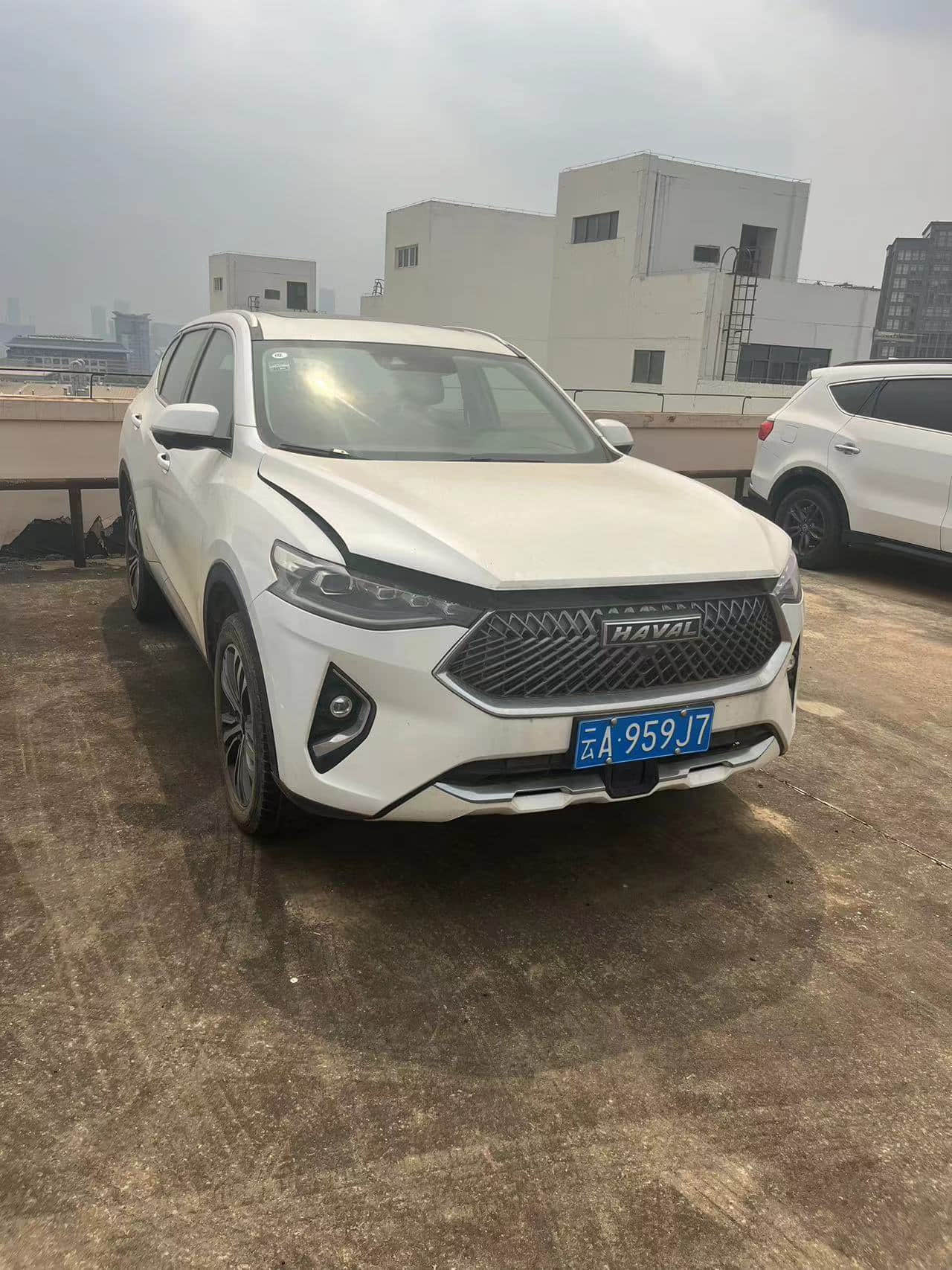 Cheap Used HAVAL F7 2021 2.0T white Automatic Gasoline SUV Voiture occasion pas cher Second Hand Used Cars For Sale From China