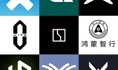 究竟谁是1月份新势力品牌销冠，是小鹏汽车还是其他品牌？