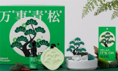 铖品记丨红旗新能源告诉我：万事“青”松