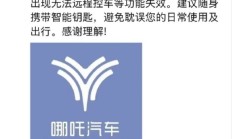 50万车主深陷“无人区”：车企倒闭，我的爱车谁来续命？