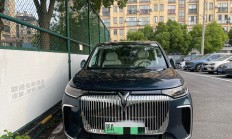 测评：35万级MPV 岚图梦想家和传祺E9大师版选谁？