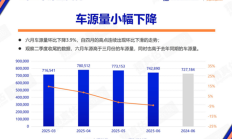 2025年6月中国汽车保值率报告 新能源汽车品牌价值波动大